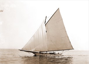 Tadpole, Tadpole (Yacht), Yachts, 1892