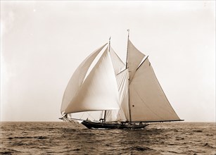 Lasca, Lasca (Schooner), Yachts, 1892