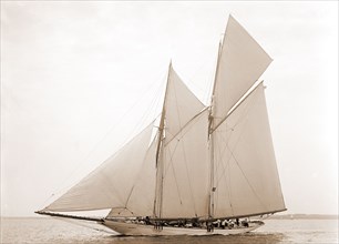 Alcaea, Alcaea (Schooner), Goelet Cup Race, Regattas, Yachts, 1892