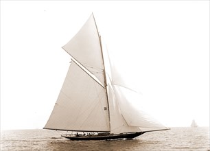 Wasp, August 5, 1892, Wasp (Sloop), Yachts, 1892