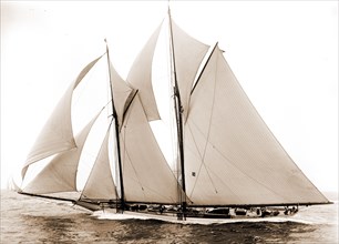 Alcaea, Alcaea (Schooner), Yachts, 1892