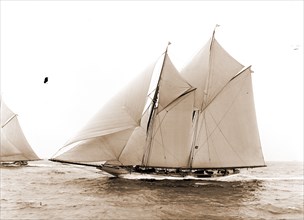 Alcaea, Alcaea (Schooner), Yachts, 1892