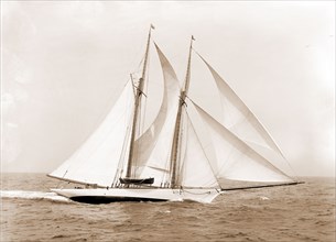 Oenone, Oenone (Schooner), Yachts, 1892