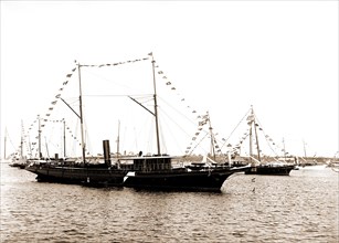 Susquehanna, Susquehanna (Steam yacht), Steam yachts, 1892