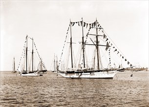 Sultana, Sultana (Steam yacht), Steam yachts, 1892