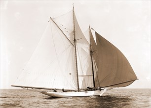Alcaea, Alcaea (Schooner), Morgan Cup race, Regattas, Yachts, 1892