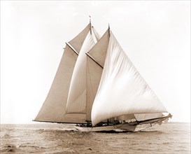 Merlin, Merlin (Schooner), Morgan Cup race, Regattas, Yachts, 1892