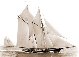 Fortuna, Fortuna (Schooner), Morgan Cup race, Regattas, Yachts, 1892