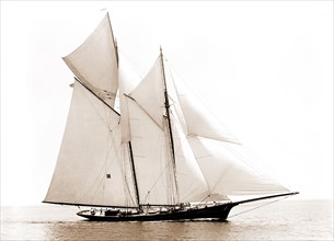 Iroquois, Iroquois (Schooner), Commodore Gerry Cup race, Regattas, Yachts, 1892
