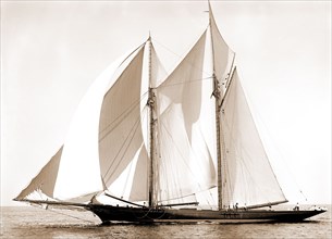 Constellation, Constellation (Schooner), Commodore Gerry Cup race, Regattas, Yachts, 1892