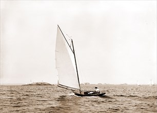 Vanessa, Vanessa (Yacht), Yachts, 1892