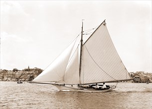 Owl, Owl (Yacht), Yachts, 1880