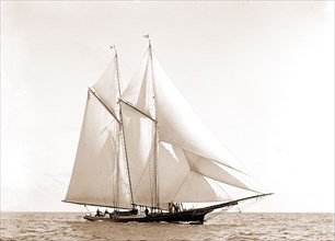 Foam, Foam (Schooner), Yachts, 1880