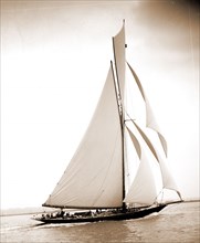 British cutter Calluna, Peabody, Henry G, (Henry Greenwood), 1855-1951, Calluna (Yacht), Yachts,