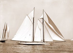 Corona, flagship of Commodore Ledyard, Corona (Schooner), Yachts, 1900
