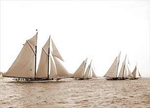Corona & Latona, Latona (Schooner), Corona (Schooner), Yachts, 1900