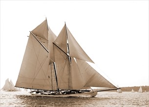 Hildegarde, Hildegarde (Schooner), Yachts, 1900