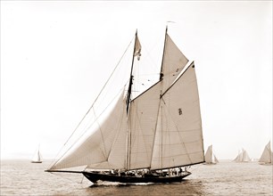 Latona, Latona (Schooner), Yachts, 1900