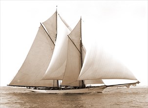 Merlin, Merlin (Schooner), Yachts, 1892