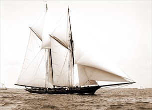 Constellation, Constellation (Schooner), Yachts, 1891