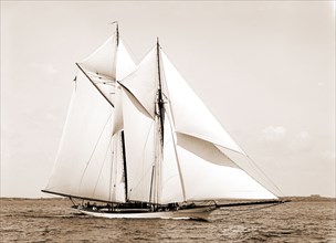 Quickstep, Quickstep (Schooner), Yachts, 1891