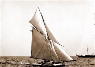 Nomad, Nomad (Yacht), Yachts, 1890