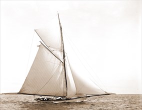 Fancy, Fancy (Yacht), Yachts, 1892