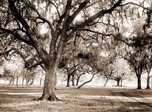 Old duelling grounds, New Orleans, Louisiana, Dueling grounds, Parks, United States, Louisiana, New