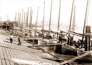 Oyster luggers at the levee, New Orleans, Boats, Levees, Shellfish industry, Oysters, United