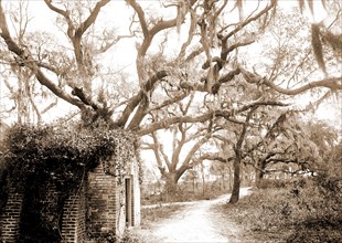 Chicora Park, Charleston, S.C, Parks, United States, South Carolina, Charleston, 1890