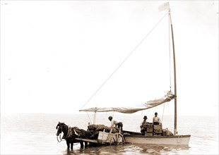 Coast traders, Key West, Fla, Sailboats, Carts & wagons, Commerce, United States, Florida, Key