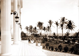 Porch of the Hotel Royal Palm i.e. Royal Palm Hotel, Miami, Fla, Hotels, Resorts, Porches, United