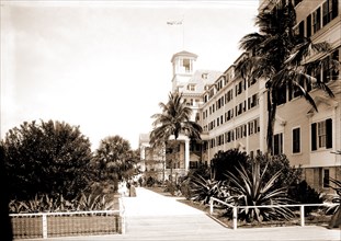 Hotel Royal Poinciana, Palm Beach, Fla, Resorts, Hotels, United States, Florida, Palm Beach, 1880