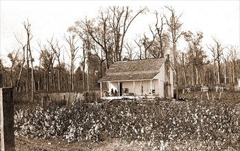 Home of the cotton picker, Jackson, William Henry, 1843-1942, Cotton, Labor housing, Dwellings,