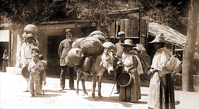 Street scene, City of Mexico, Jackson, William Henry, 1843-1942, Donkeys, Peddlers, Streets,