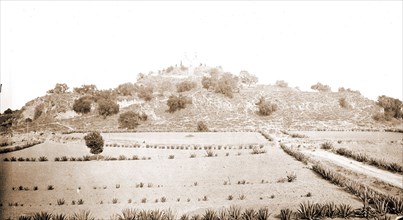 Cholula, the Pyramid Gran Piramide, Jackson, William Henry, 1843-1942, Pyramids, Mexico, Cholula de