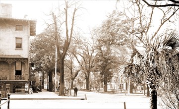 Liberty St, Savannah, Ga, Streets, United States, Georgia, Savannah, 1906