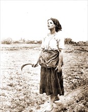 Song of the lark, Breton, Jules, 1827-1906, Women, Employment, Harvesting, 1900