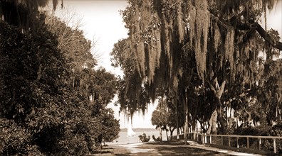 Indian River at Rockledge, Fla, Waterfronts, Roads, United States, Florida, Indian River, 1901