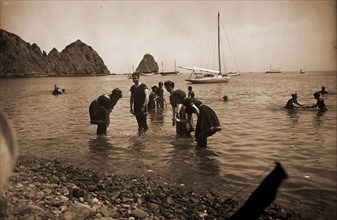 Bathing at Avalon, Santa Catalina Island, Beaches, Wading, United States, California, Santa