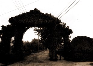 Jarvis Lane, Far Rockaway, L.I, Gates, Streets, United States, New York (State), New York, 1903