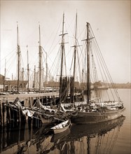 Along the wharves, Gloucester, Mass, Boats, Fishing industry, Piers & wharves, United States,