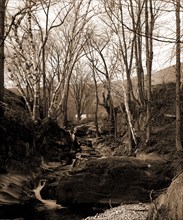 Rocks and birches, Berkshire Hills, Mass, Waterfalls, Birches, United States, Massachusetts,