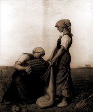 The potato harvest, Breton, Jules, 1827-1906, Harvesting, Women, Employment, Potatoes, 1900