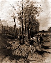The road to Blaricum, Mauve, Anton, 1838-1888, Cattle, Roads, Netherlands, Blaricum, 1900