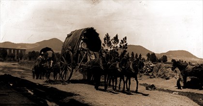 Returning from market, Amecameca, Covered wagons, Roads, Mexico, Amecameca de Juarez, 1880