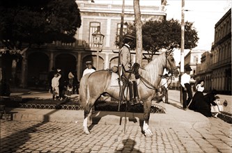 A Mounted policeman, Mounted police, Streets, Cuba, Havana, 1900
