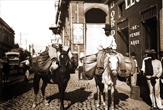 Vegetable men, Food vendors, Mules, Vegetables, Streets, Cuba, Havana, 1900