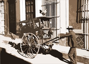 Fruit and poultry vendor, Food vendors, Carts & wagons, Fruit, Poultry, Cuba, Havana, 1900