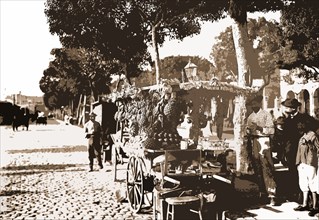 Fruit stands on the Prado, Food vendors, Fruit, Carts & wagons, Streets, Cuba, Havana, 1900